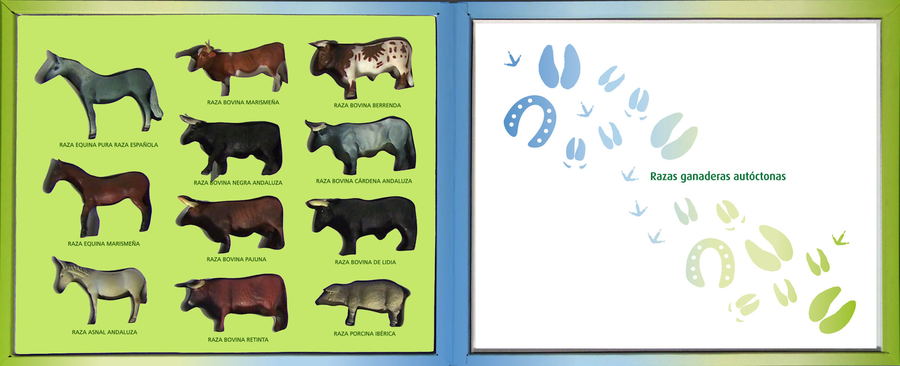 Junta de Andalucía Estuche